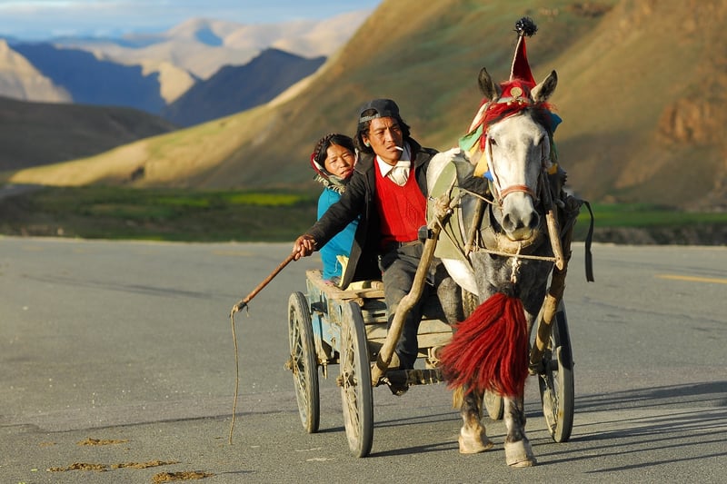 Fairy Tale Carriage Ride