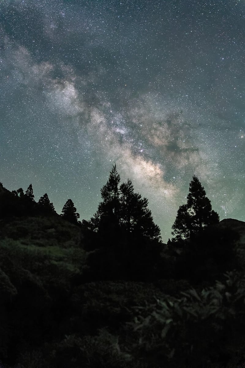 Starlit Sky