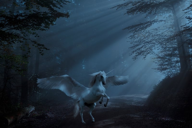 Unicorn Petting Zoo
